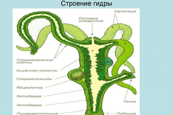 Kraken ссылки актуальные 2025 г